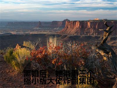 离婚后,她带着三个缩小版大佬炸翻集团在线阅读无弹窗_洛熙冷清寒最新章节列表_笔趣阁