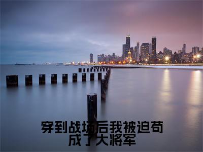 苏梨全文免费阅读无弹窗大结局_(苏梨)最新章节列表笔趣阁(穿到战场后我被迫苟成了大将军)