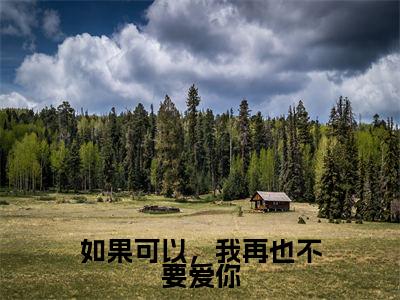 如果可以,我再也不要爱你全文免费阅读(秦嘉玉夏卫庭免费阅读无弹窗)如果可以,我再也不要爱你最新章节列表_笔趣阁