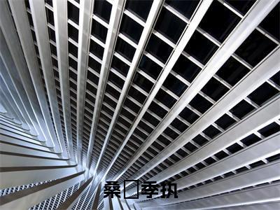 桑淣季执季执桑淣全文免费阅读无弹窗大结局_季执桑淣(桑淣季执)全文阅读_笔趣阁(桑淣季执)