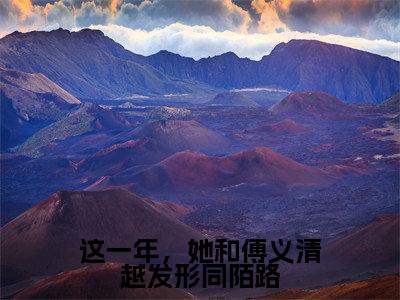 沈晓溪傅义清(这一年,她和傅义清越发形同陌路)全文免费阅读无弹窗大结局_沈晓溪傅义清最新章节列表_笔趣阁(这一年,她和傅义清越发形同陌路)
