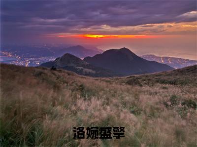 洛婉盛擎免费阅读无弹窗大结局-洛婉盛擎（最新全章节大结局）全文阅读
