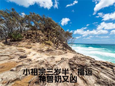 小祖宗三岁半,福运神兽奶又凶(苏酥)全文免费阅读无弹窗-(小祖宗三岁半,福运神兽奶又凶)苏酥小说全文在线赏析