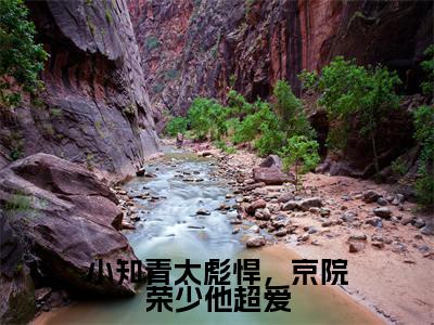小知青太彪悍，京院荣少他超爱（宁媛荣昭南）小说全文免费阅读无弹窗大结局_小知青太彪悍，京院荣少他超爱全文在线阅读无弹窗（宁媛荣昭南）