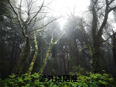 姜九柒陌淮(姜九柒陌淮 )全文免费阅读_姜九柒陌淮言诺诺,井傅宸 小说最新章节列表笔趣阁