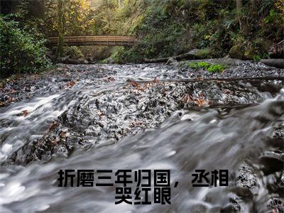 折磨三年归国，丞相哭红眼(司徒鸢裴寂小说)最新在线阅读_司徒鸢裴寂小说免费阅读