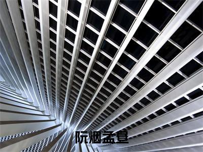 阮烟孟昼(孟昼阮烟)小说免费阅读-阮烟孟昼(孟昼阮烟)已完结全集大结局小说