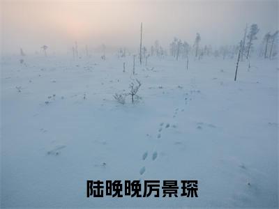 霍总，你家夫人又跑啦文章精选是什么小说_主角是（ 陆晚晚厉景琛）的小说（霍总，你家夫人又跑啦文章精选）最新章节无弹窗阅读