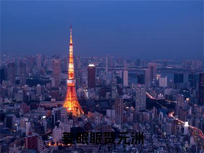 贺元洲姜眠眠独家小说姜眠眠贺元洲-贺元洲姜眠眠无删版小说推荐