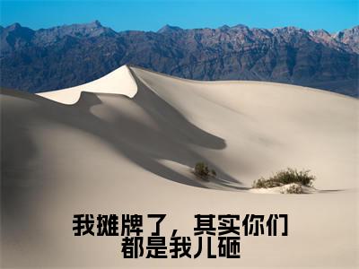 我摊牌了,其实你们都是我儿砸在线阅读无弹窗_沈念最新章节列表_笔趣阁
