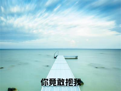 你竟敢抱我(乔清浔陆砚成)精选好书-乔清浔陆砚成无删减小说在线阅读(你竟敢抱我全文免费阅读)