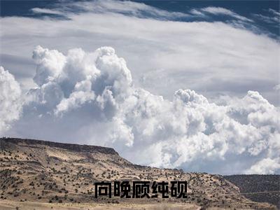 向晚顾纯砚全集完整版大结局-顾纯砚向晚小说在线赏析