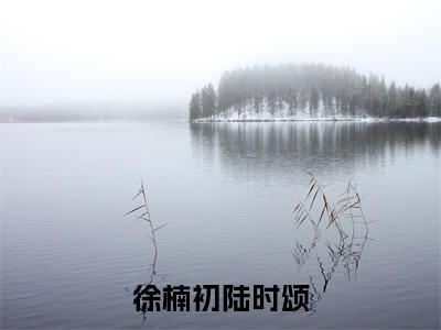 陆时颂徐楠初正版小说最新章节在线阅读-徐楠初陆时颂(陆时颂徐楠初)全文无弹窗阅读