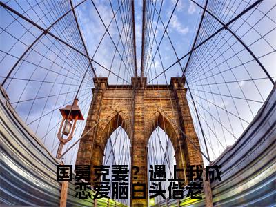国舅克妻?遇上我成恋爱脑白头偕老(宋思弦沈云州小说)最新在线阅读_宋思弦沈云州小说免费阅读