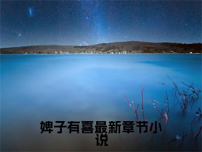 小说（婢子有喜） 云汐景昱全文免费阅读无弹窗- 云汐景昱小说全文在线赏析(今日更新最新章节)