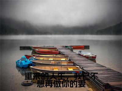 重来的人生,我已不想再做你的妻(许晚棠梁祁安)老书虫2023良心推荐小说-重来的人生,我已不想再做你的妻(许晚棠梁祁安)小说精彩免费试读