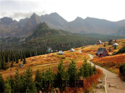 封泽苏暖暖小说免费阅读全文在线阅读,苏暖暖封泽的小说在线阅读全文