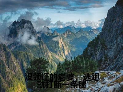 苏芮初穆岘(没领证的老婆,逃跑就打断一条腿)全文免费阅读无弹窗大结局_ 苏芮初穆岘最新章节列表_笔趣阁(没领证的老婆,逃跑就打断一条腿)