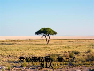 楚晗清纪洵阳高赞小说（老公失忆后，爱上了别人）完结阅读_老公失忆后，爱上了别人免费看全文