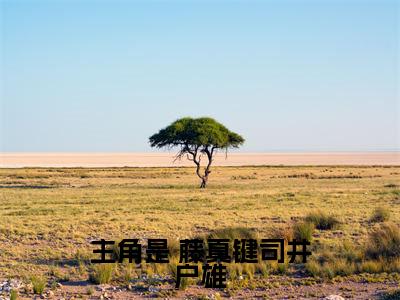 巨星之路：从灌篮高手开始小说（ 藤真键司井户雄）全文免费阅读_（ 藤真键司井户雄）巨星之路：从灌篮高手开始最新章节列表笔趣阁