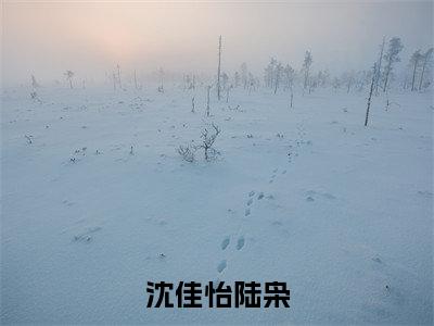 （陆枭沈佳怡）沈佳怡陆枭小说全文免费_（陆枭沈佳怡）最新章节列表笔趣阁