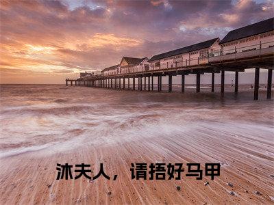 沐夫人,请捂好马甲 小说全文- 阮曦沐时煜无弹窗免费阅读