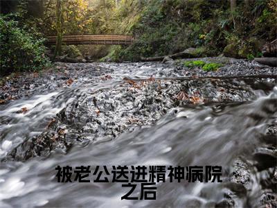 被老公送进精神病院之后(罗嘉琳赵关山)全文免费阅读大结局_被老公送进精神病院之后(罗嘉琳赵关山在线小说免费阅读)全文阅读大结局