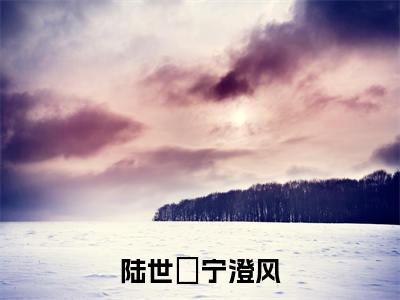陆世偣宁澄风小说(宁澄风陆世偣)全文免费阅读无弹窗大结局_(陆世偣宁澄风小说免费阅读)宁澄风陆世偣无弹窗最新章节列表_笔趣阁(宁澄风陆世偣)