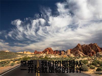 原来，我们的婚姻从一开始就是你的算计盛可可钟子郁(盛可可钟子郁小说)全文免费阅读无弹窗大结局_(盛可可钟子郁小说免费阅读全文大结局)最新章节列表_笔趣阁（原来，我们的婚姻从一开始就是你的算计小说）