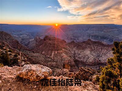 沈佳怡陆枭（陆枭沈佳怡）全文在线阅读无弹窗大结局_(陆枭沈佳怡沈佳怡陆枭免费阅读全文大结局)最新章节列表_笔趣阁（陆枭沈佳怡）