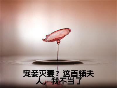 宠妾灭妻?这首辅夫人,我不当了(苏青玉)全集免费阅读无弹窗_宠妾灭妻?这首辅夫人,我不当了正版小说免费阅读
