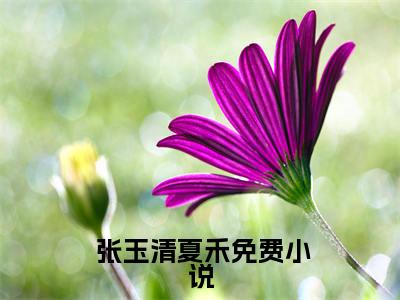  张玉清夏禾（开局觉醒简化系统，晒太阳就能变强）完整版小说阅读_开局觉醒简化系统，晒太阳就能变强 张玉清夏禾全文免费阅读（开局觉醒简化系统，晒太阳就能变强）