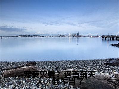 宠妾灭妻?这首辅夫人,我不当了(苏青玉全章节完整版)免费阅读_(苏青玉)宠妾灭妻?这首辅夫人,我不当了全文无删减免费阅读