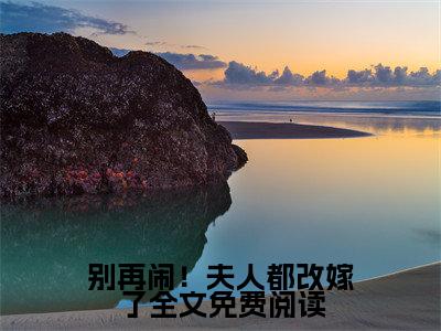 （别再闹！夫人都改嫁了）全网热搜是什么小说_别再闹！夫人都改嫁了小说（ 萧炎林姝）热门章节阅读无弹窗_笔趣阁（ 萧炎林姝）