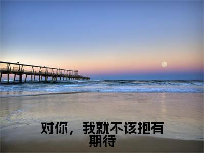 对你,我就不该抱有期待(沈未晚傅九宴)精选好书-沈未晚傅九宴无删减版在线阅读(沈未晚傅九宴全文免费阅读)