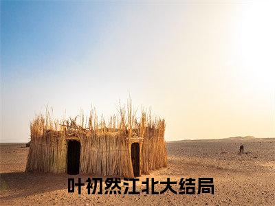 昔日兄弟落井下石，富二代重生了（ 叶初然江北全文在线阅读）-昔日兄弟落井下石，富二代重生了( 叶初然江北)免费阅读无删减完整版昔日兄弟落井下石，富二代重生了