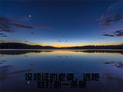苏芮初穆岘(没领证的老婆,逃跑就打断一条腿)全文免费阅读无弹窗大结局_没领证的老婆,逃跑就打断一条腿( 苏芮初穆岘无弹窗)_笔趣阁