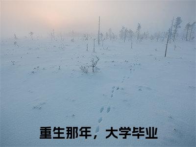 林书文是什么小说-小说重生那年，大学毕业全文阅读