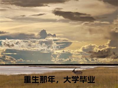 重生那年，大学毕业(林书文)全文免费阅读无弹窗大结局_重生那年，大学毕业最新章节列表_笔趣阁(林书文)