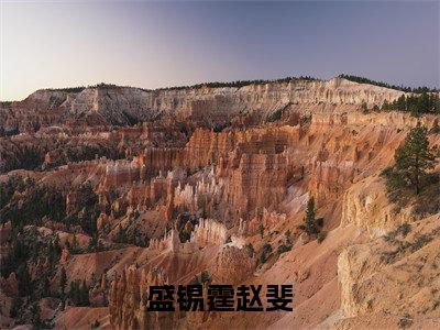 盛锡霆赵斐(赵斐盛锡霆小说)全文免费阅读无弹窗大结局_盛锡霆赵斐最新章节(赵斐盛锡霆)
