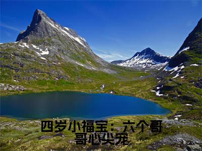 【新书】四岁小福宝：六个哥哥心尖宠全文全章节免费阅读-纪陌沫纪言易 全文免费阅读无弹窗大结局