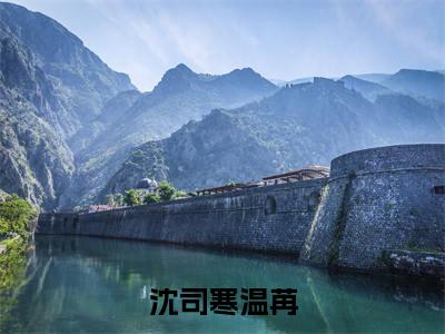 沈司寒温苒小说（温苒沈司寒）免费阅读全文无弹窗大结局_温苒沈司寒免费阅读无弹窗小说_小说笔趣阁