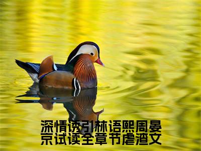 《 林语熙周晏京》深情诱引林语熙周晏京试读全章节(热推新书)-抖音热推深情诱引林语熙周晏京试读全章节无弹窗阅读