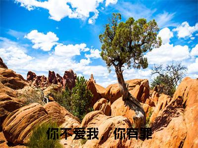 你不爱我,你有罪(程渊沈千亦)全文免费阅读无弹窗大结局_你不爱我,你有罪全文阅读_笔趣阁(程渊沈千亦)