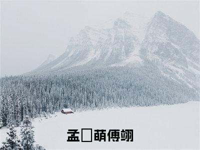 孟愔萌傅翊小说(傅翊孟愔萌)最新章节阅读-孟愔萌傅翊(傅翊孟愔萌)免费阅读无弹窗大结局