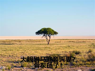 大胆驸马宠妾灭妻?骨灰扬了!(顾湛冷澜之)小说全文免费阅读完整版-大胆驸马宠妾灭妻?骨灰扬了!免费在线阅读大结局(顾湛冷澜之)