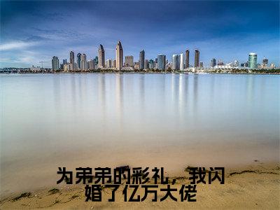 为弟弟的彩礼，我闪婚了亿万大佬小说免费阅读为弟弟的彩礼，我闪婚了亿万大佬小说全文免费阅读_（池黛江知野）为弟弟的彩礼，我闪婚了亿万大佬最新章节列表笔趣阁