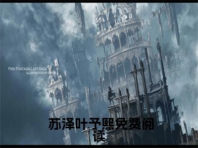  苏泽叶予熙（我，豪门赘婿，有女儿后无敌了）完整版小说阅读_我，豪门赘婿，有女儿后无敌了全文免费阅读笔趣阁（ 苏泽叶予熙）