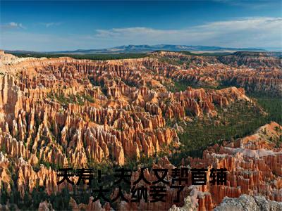 夭寿！夫人又帮首辅大人纳妾了 (顾长凌云薇)全文免费阅读无弹窗大结局_ (夭寿！夫人又帮首辅大人纳妾了 )免费阅读无弹窗最新章节列表_笔趣阁