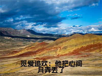 觅爱追欢:他把心间月弄丢了小说(沈聿城秦栖月)全文免费阅读无弹窗大结局_ (沈聿城秦栖月免费阅读)最新章节列表_笔趣阁(沈聿城秦栖月)